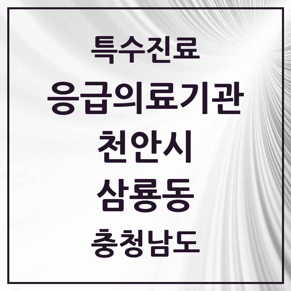 2025 충청남도 천안시 삼룡동 응급의료기관 의원·병원 목록 1곳