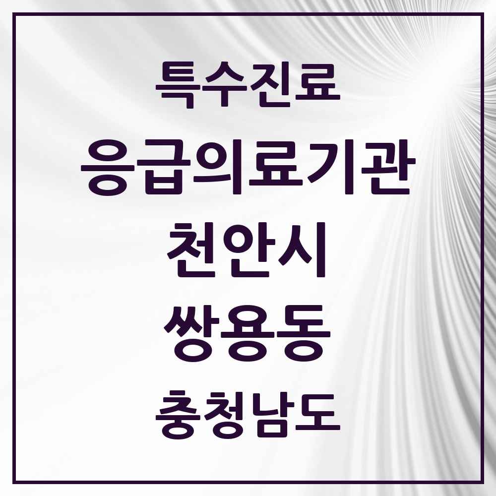 2025 충청남도 천안시 쌍용동 응급의료기관 의원·병원 목록 1곳