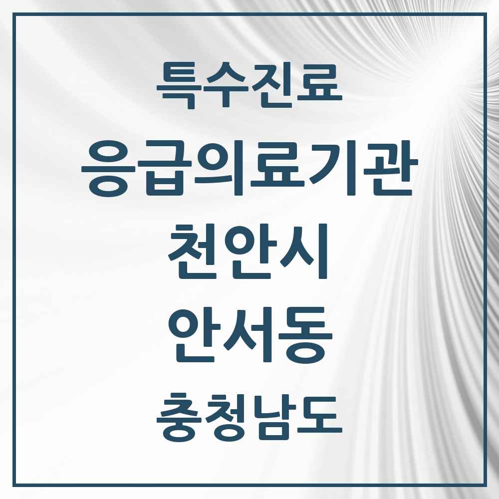 2025 충청남도 천안시 안서동 응급의료기관 의원·병원 목록 1곳