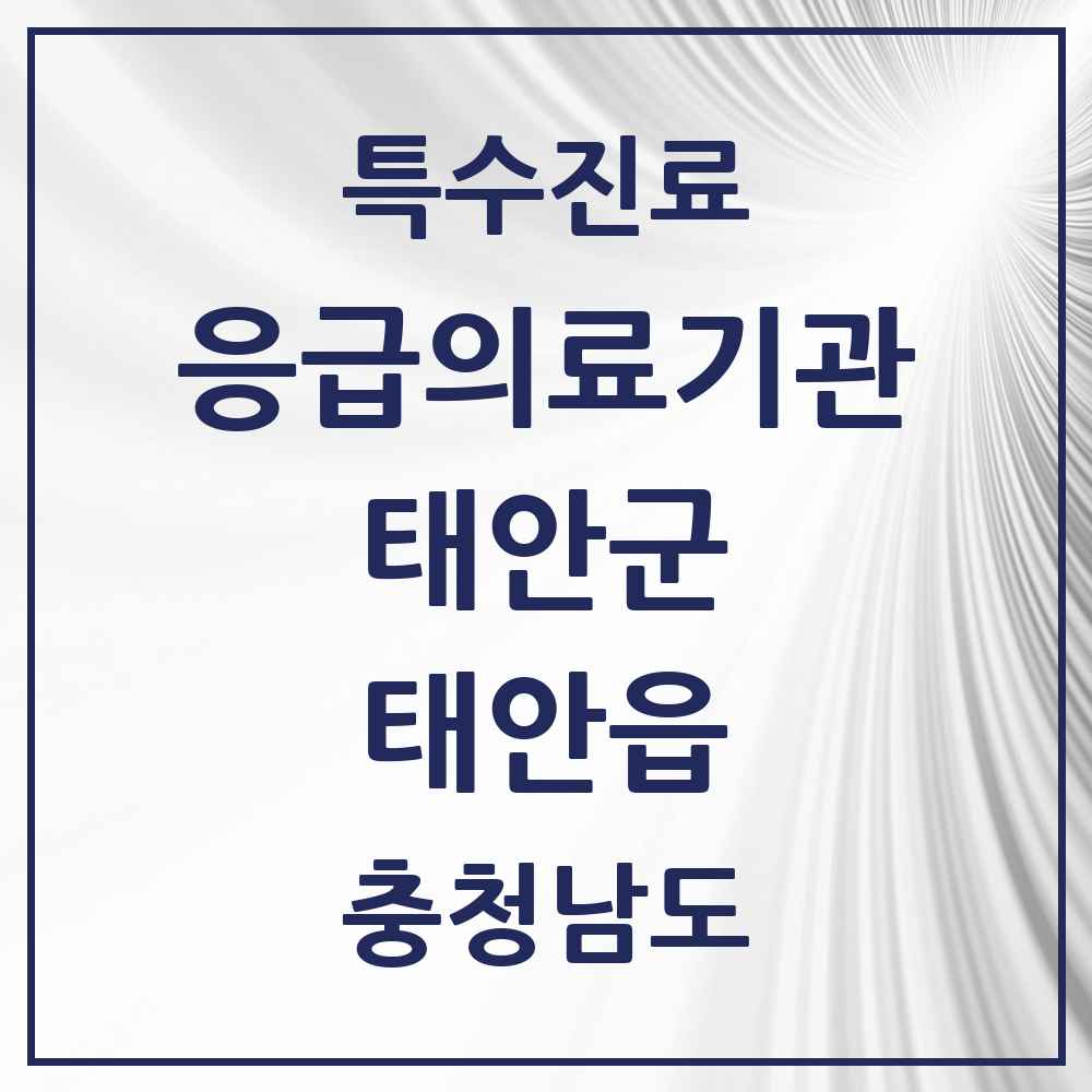 2025 충청남도 태안군 태안읍 응급의료기관 의원·병원 목록 1곳