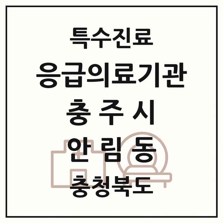 2026 충청북도 충주시 안림동 응급의료기관 의원·병원 목록 1곳