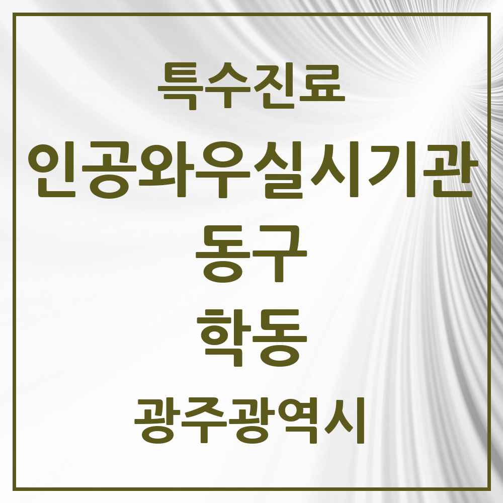 2025 광주광역시 동구 학동 인공와우 실시기관 의원·병원 목록 2곳