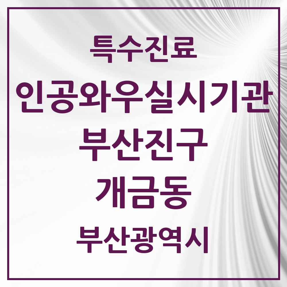 2025 부산광역시 부산진구 개금동 인공와우 실시기관 의원·병원 목록 1곳