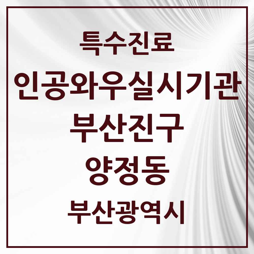 2025 부산광역시 부산진구 양정동 인공와우 실시기관 의원·병원 목록 1곳