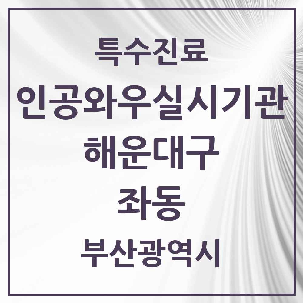 2025 부산광역시 해운대구 좌동 인공와우 실시기관 의원·병원 목록 1곳