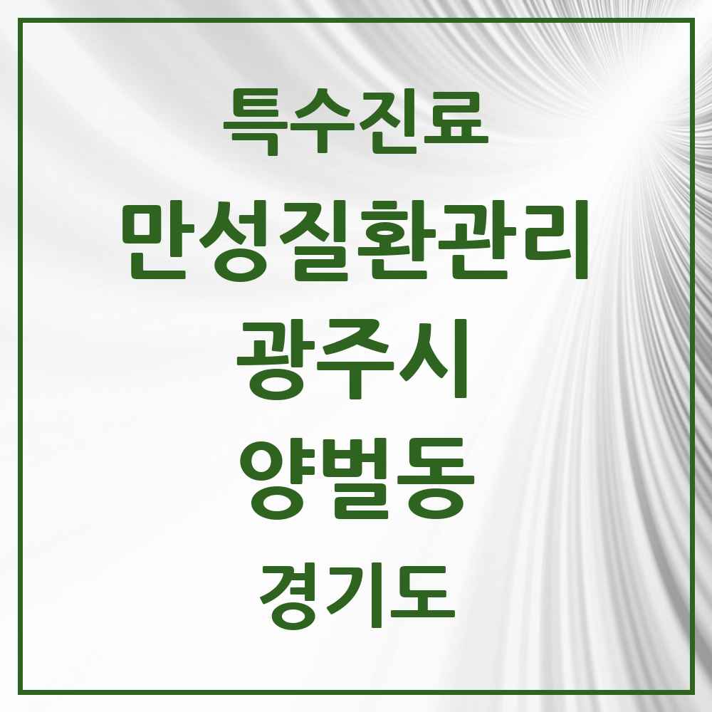 2025 경기도 광주시 양벌동 일차의료 만성질환관리 실시기관 의원·병원 목록 1곳