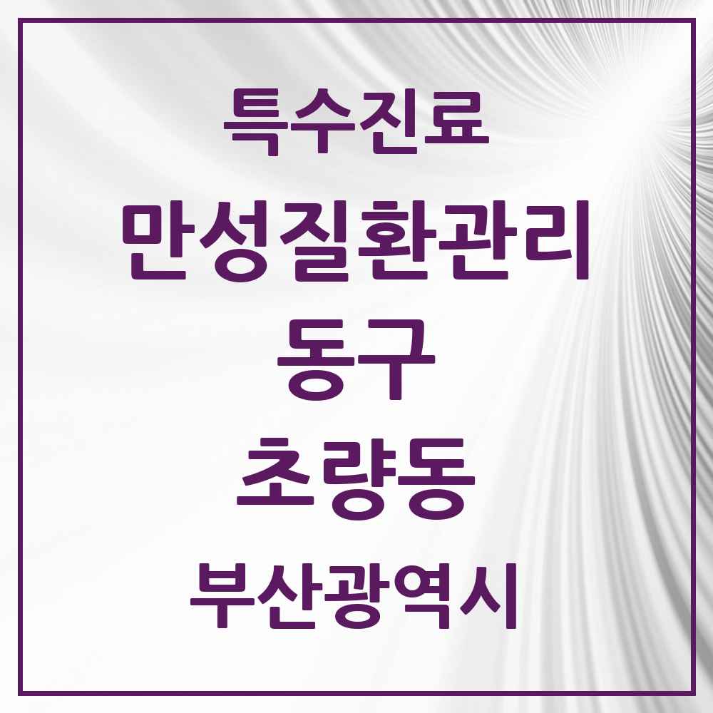 2025 부산광역시 동구 초량동 일차의료 만성질환관리 실시기관 의원·병원 목록 2곳