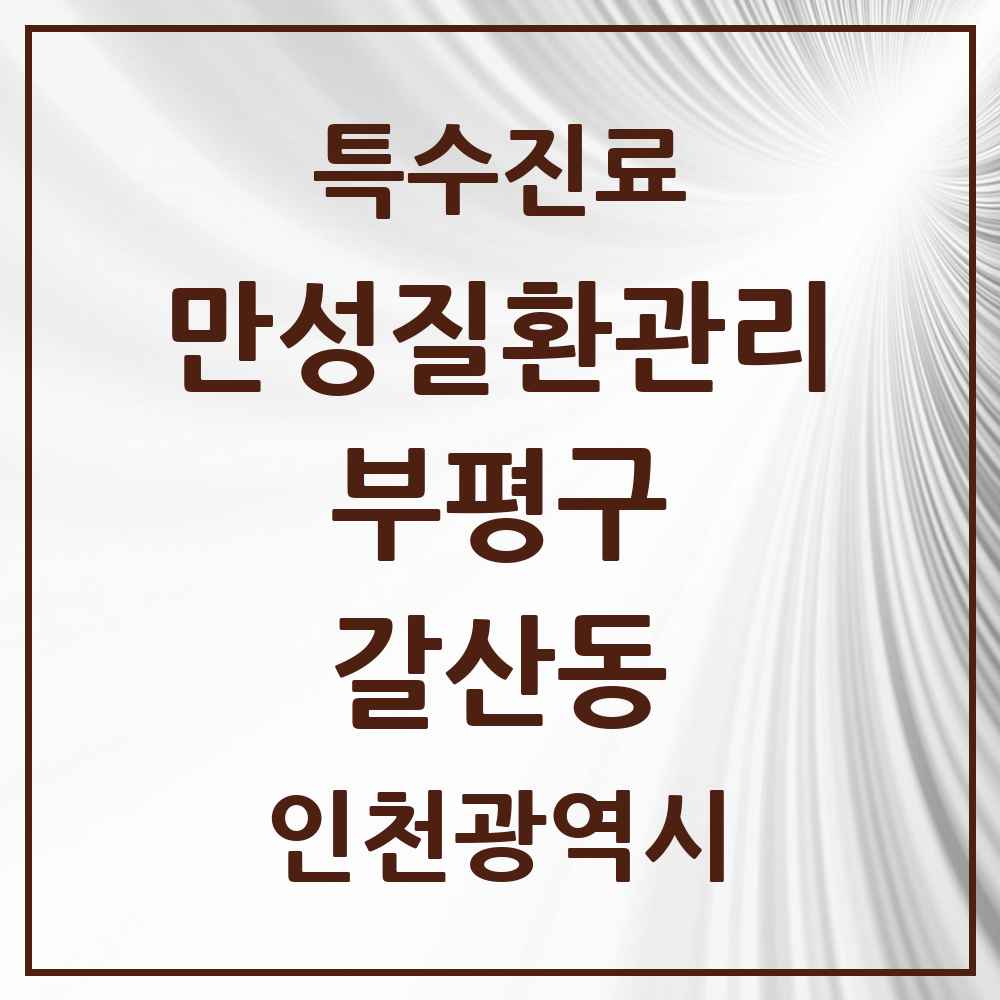 2025 인천광역시 부평구 갈산동 일차의료 만성질환관리 실시기관 의원·병원 목록 1곳