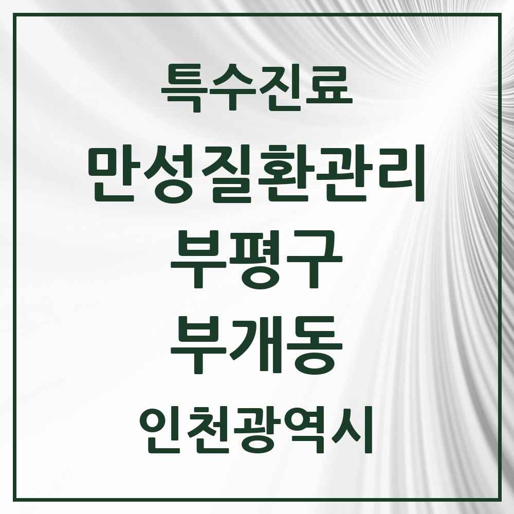 2025 인천광역시 부평구 부개동 일차의료 만성질환관리 실시기관 의원·병원 목록 9곳