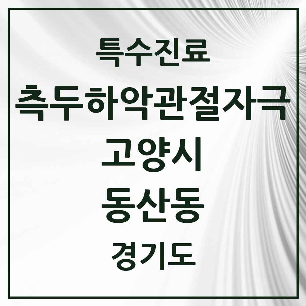 2025 경기도 고양시 동산동 측두하악 관절자극요법 실시기관 의원·병원 목록 1곳