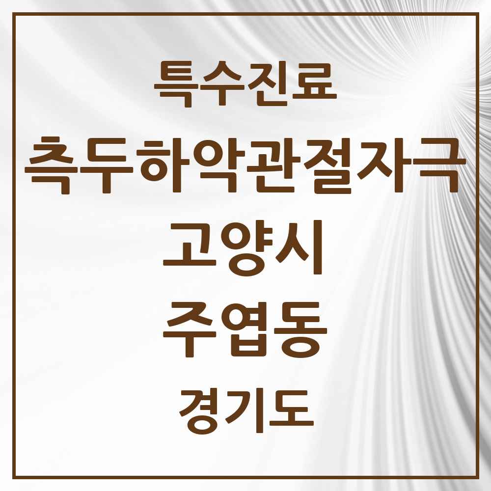 2025 경기도 고양시 주엽동 측두하악 관절자극요법 실시기관 의원·병원 목록 12곳