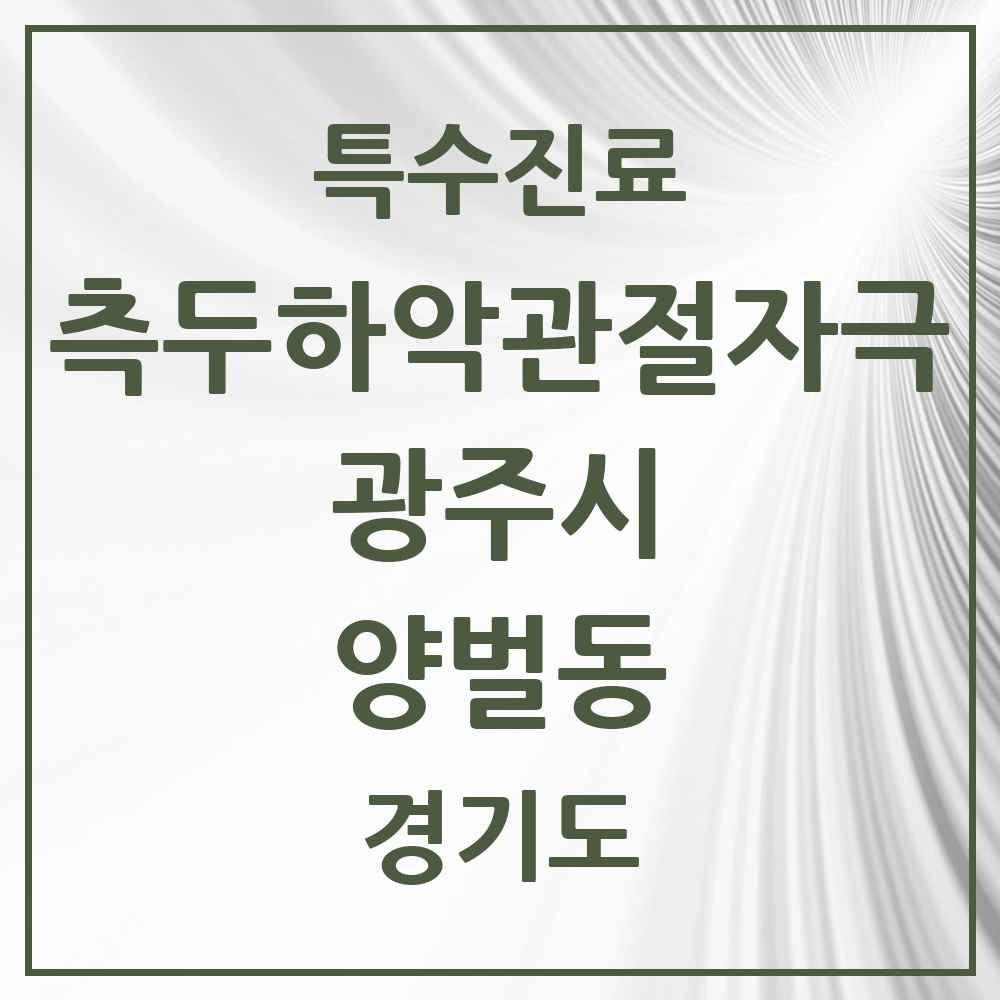 2025 경기도 광주시 양벌동 측두하악 관절자극요법 실시기관 의원·병원 목록 1곳