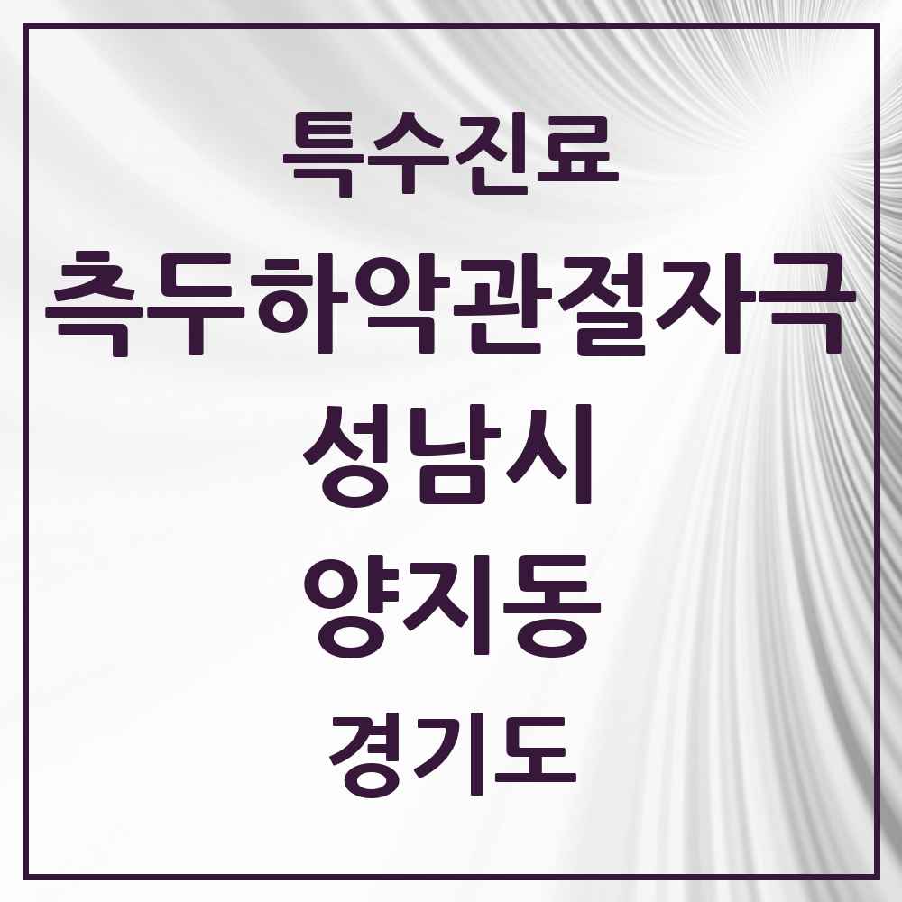 2025 경기도 성남시 양지동 측두하악 관절자극요법 실시기관 의원·병원 목록 3곳