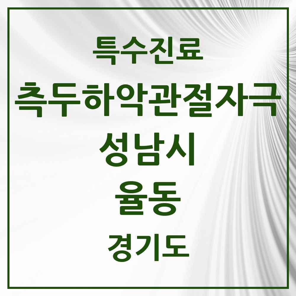 2025 경기도 성남시 율동 측두하악 관절자극요법 실시기관 의원·병원 목록 1곳