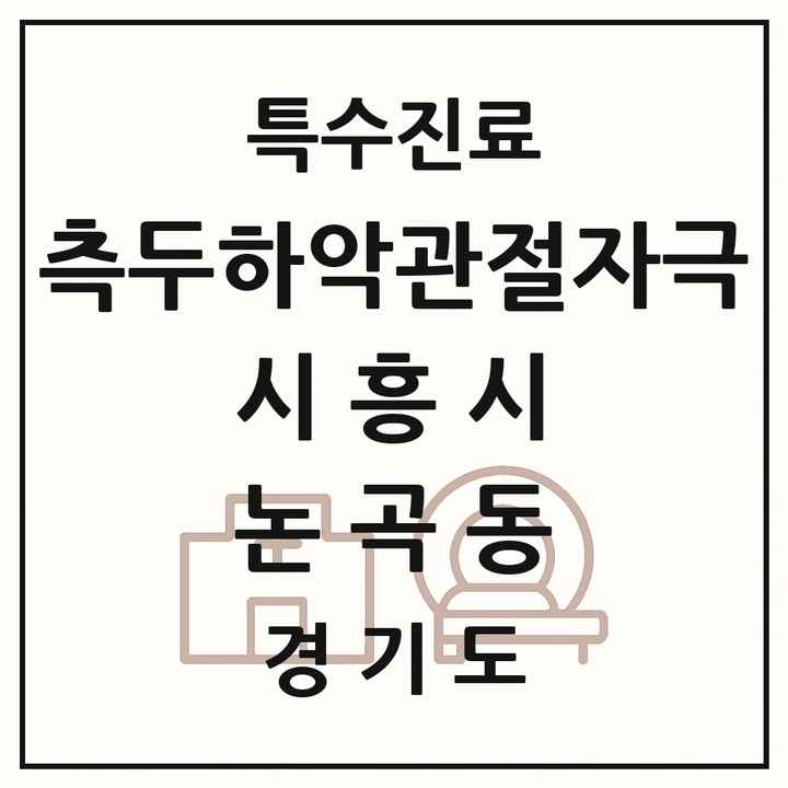 2026 경기도 시흥시 논곡동 측두하악 관절자극요법 실시기관 의원·병원 목록 1곳