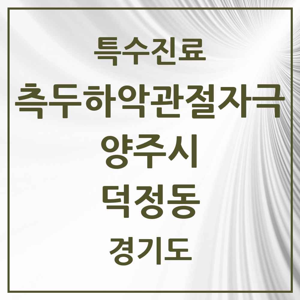 2025 경기도 양주시 덕정동 측두하악 관절자극요법 실시기관 의원·병원 목록 2곳