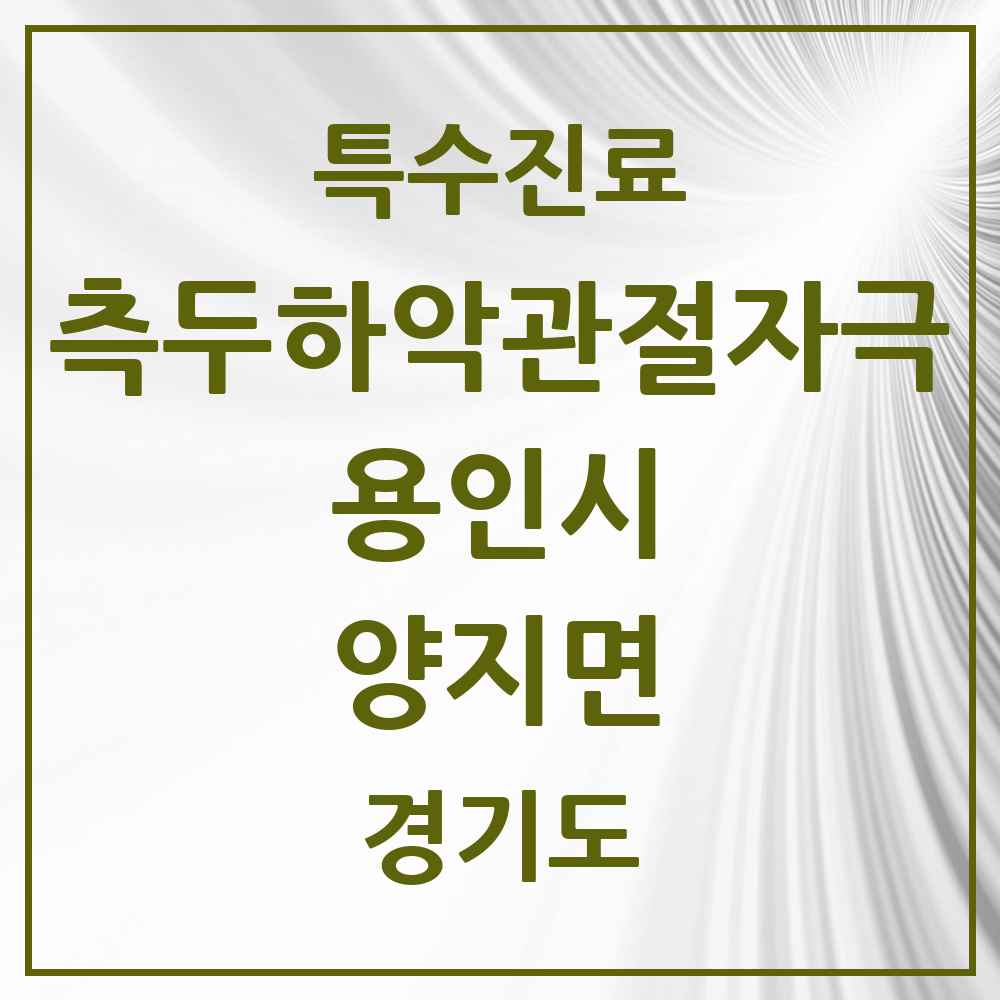 2025 경기도 용인시 양지면 측두하악 관절자극요법 실시기관 의원·병원 목록 1곳