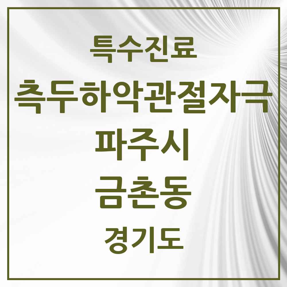 2025 경기도 파주시 금촌동 측두하악 관절자극요법 실시기관 의원·병원 목록 12곳