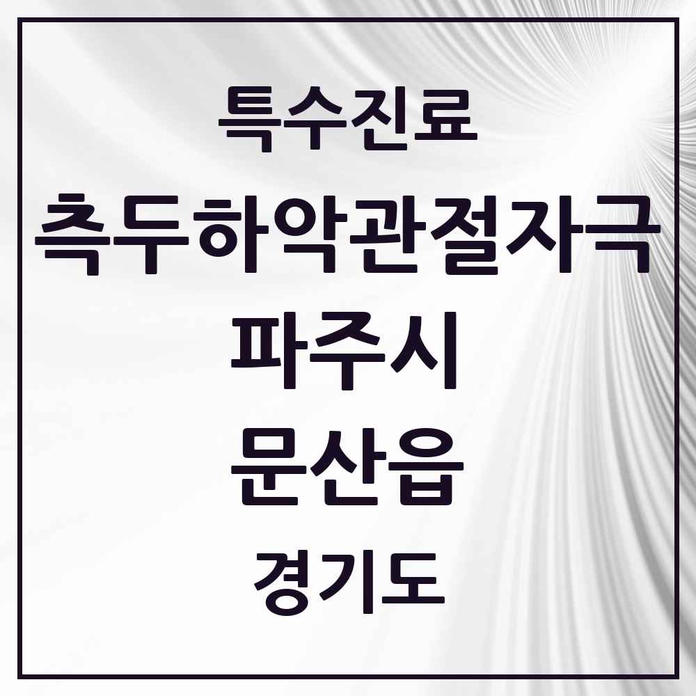 2025 경기도 파주시 문산읍 측두하악 관절자극요법 실시기관 의원·병원 목록 7곳