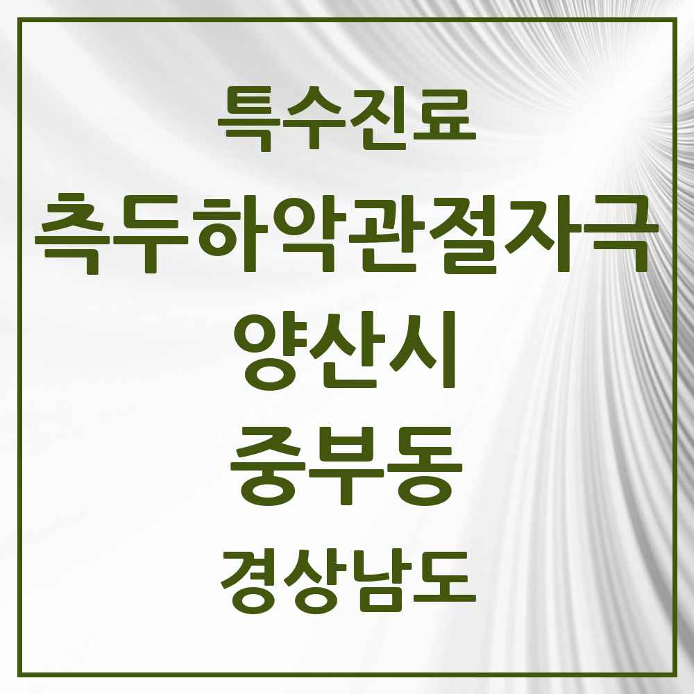 2025 경상남도 양산시 중부동 측두하악 관절자극요법 실시기관 의원·병원 목록 1곳