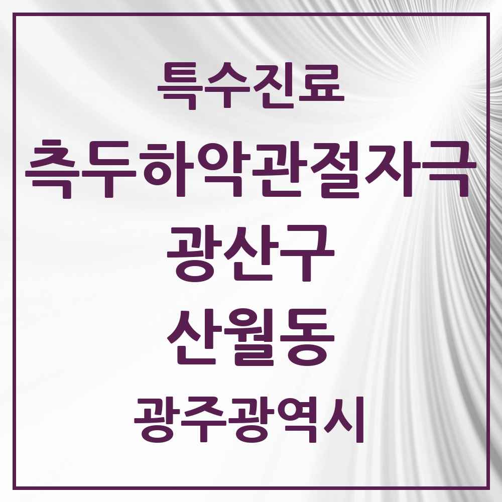 2025 광주광역시 광산구 산월동 측두하악 관절자극요법 실시기관 의원·병원 목록 1곳