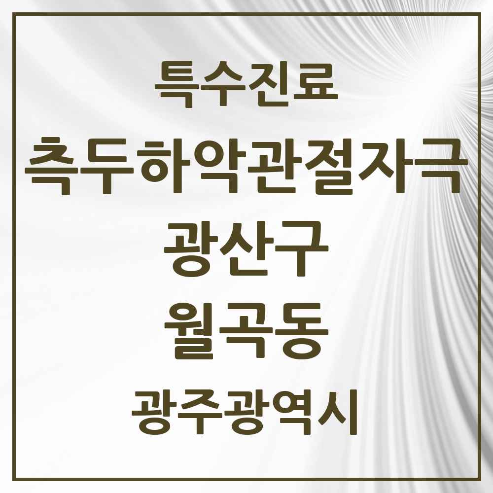 2025 광주광역시 광산구 월곡동 측두하악 관절자극요법 실시기관 의원·병원 목록 1곳