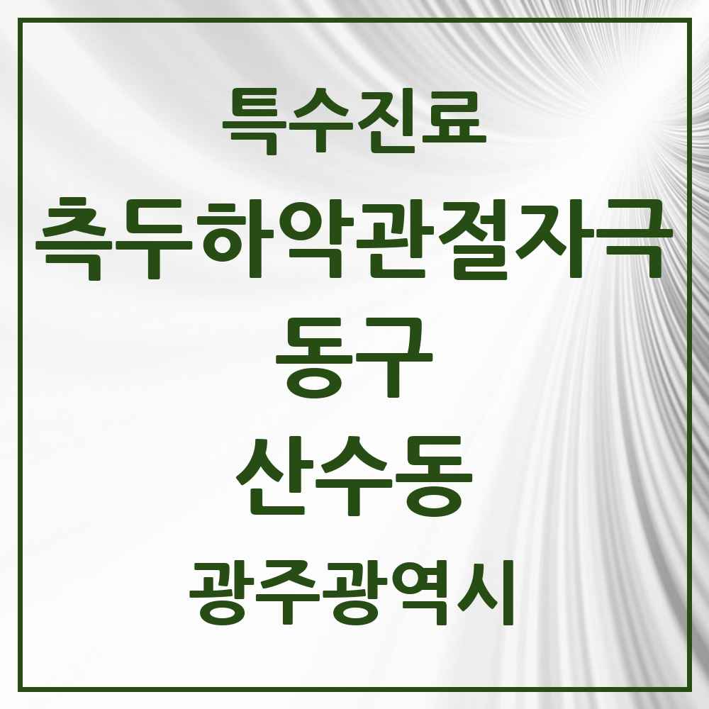 2025 광주광역시 동구 산수동 측두하악 관절자극요법 실시기관 의원·병원 목록 3곳
