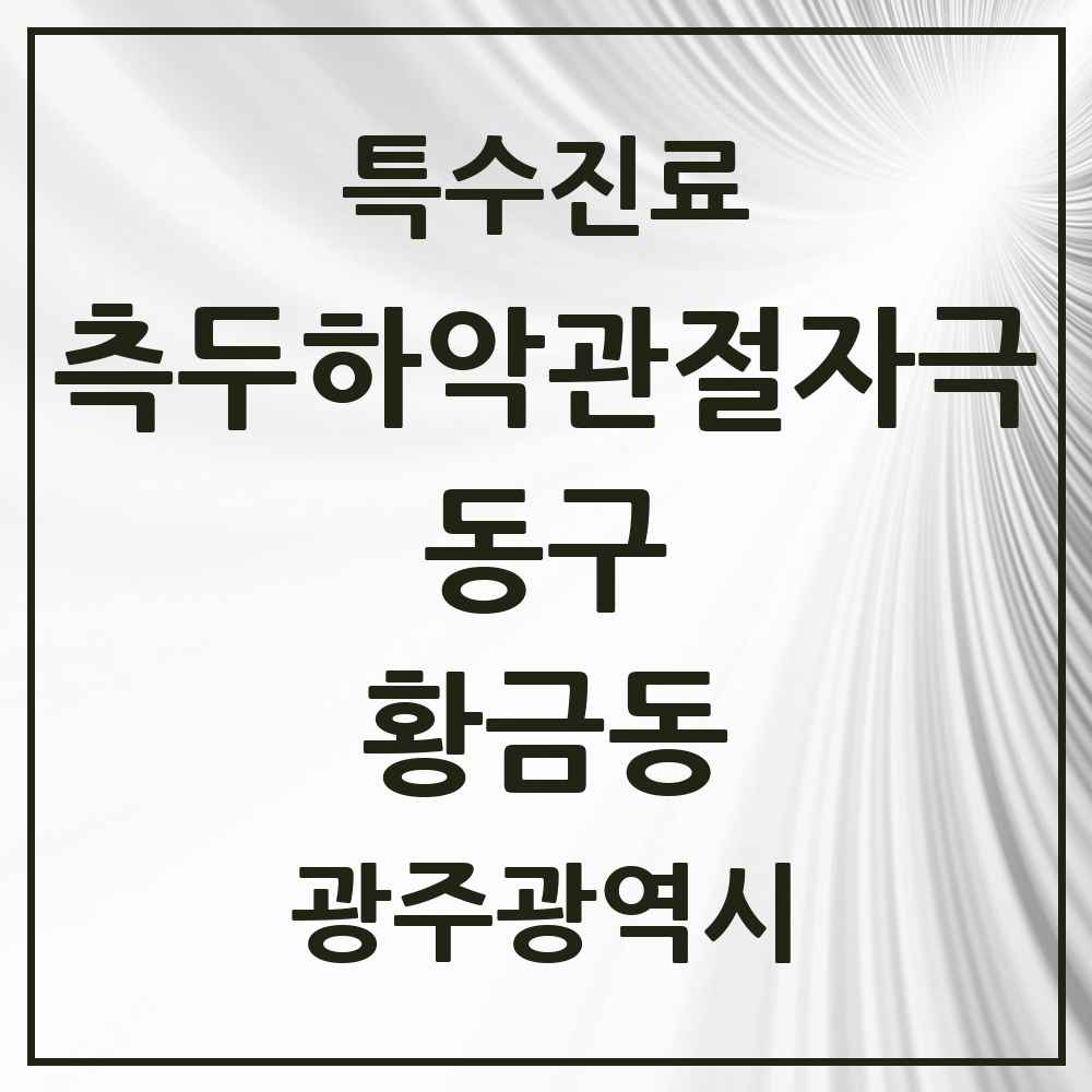 2025 광주광역시 동구 황금동 측두하악 관절자극요법 실시기관 의원·병원 목록 1곳