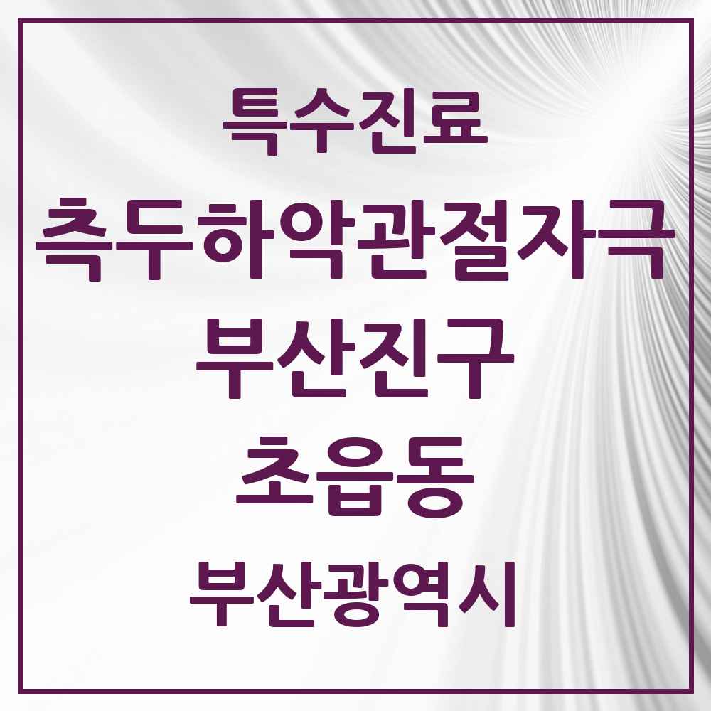 2025 부산광역시 부산진구 초읍동 측두하악 관절자극요법 실시기관 의원·병원 목록 3곳