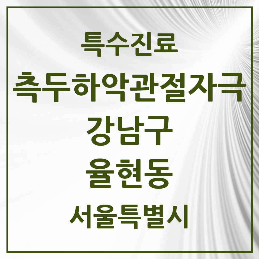 2025 서울특별시 강남구 율현동 측두하악 관절자극요법 실시기관 의원·병원 목록 1곳