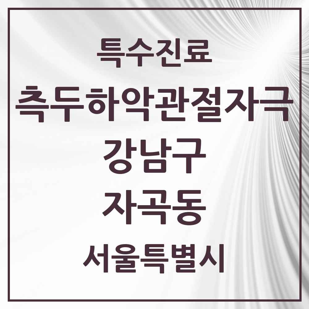2025 서울특별시 강남구 자곡동 측두하악 관절자극요법 실시기관 의원·병원 목록 1곳