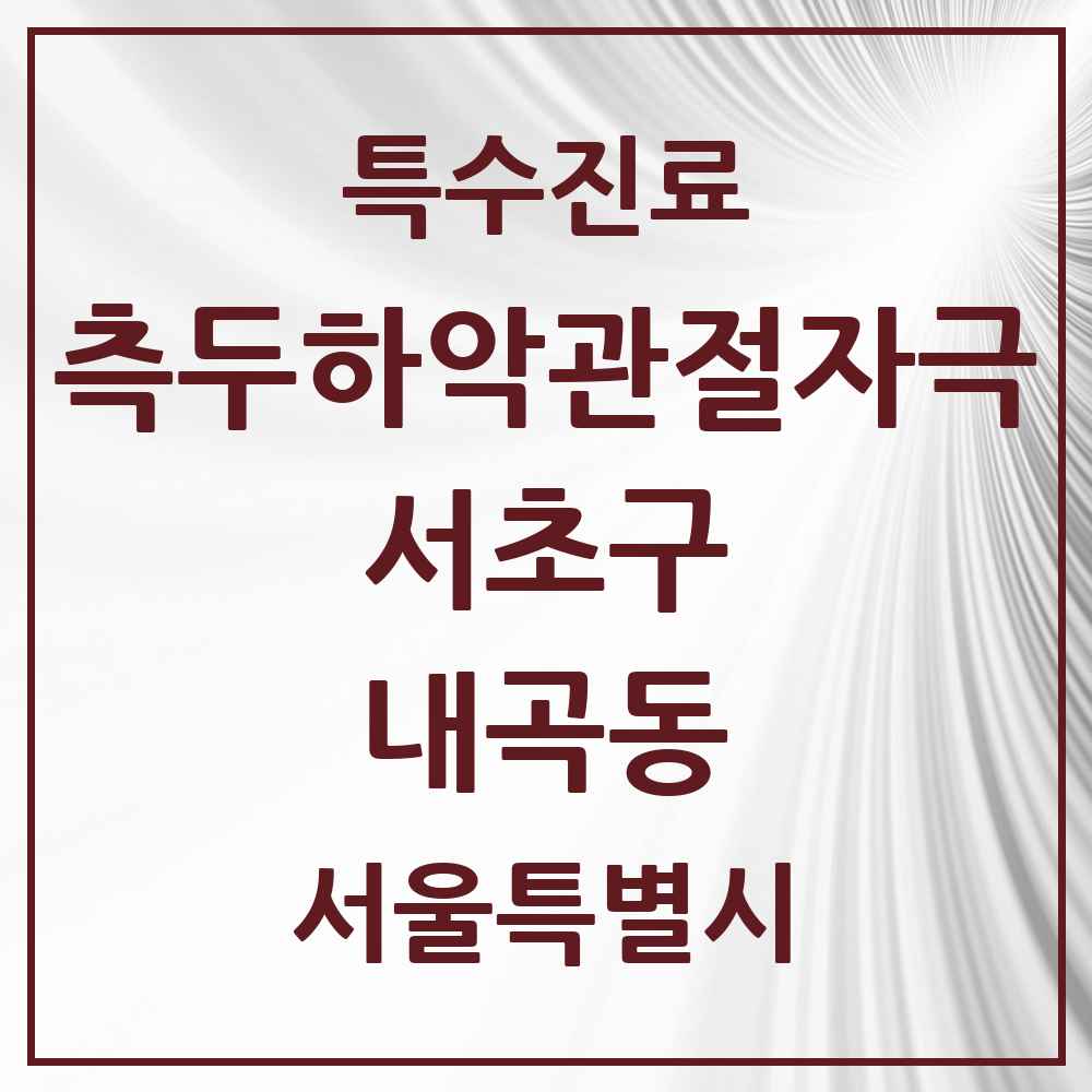 2025 서울특별시 서초구 내곡동 측두하악 관절자극요법 실시기관 의원·병원 목록 2곳