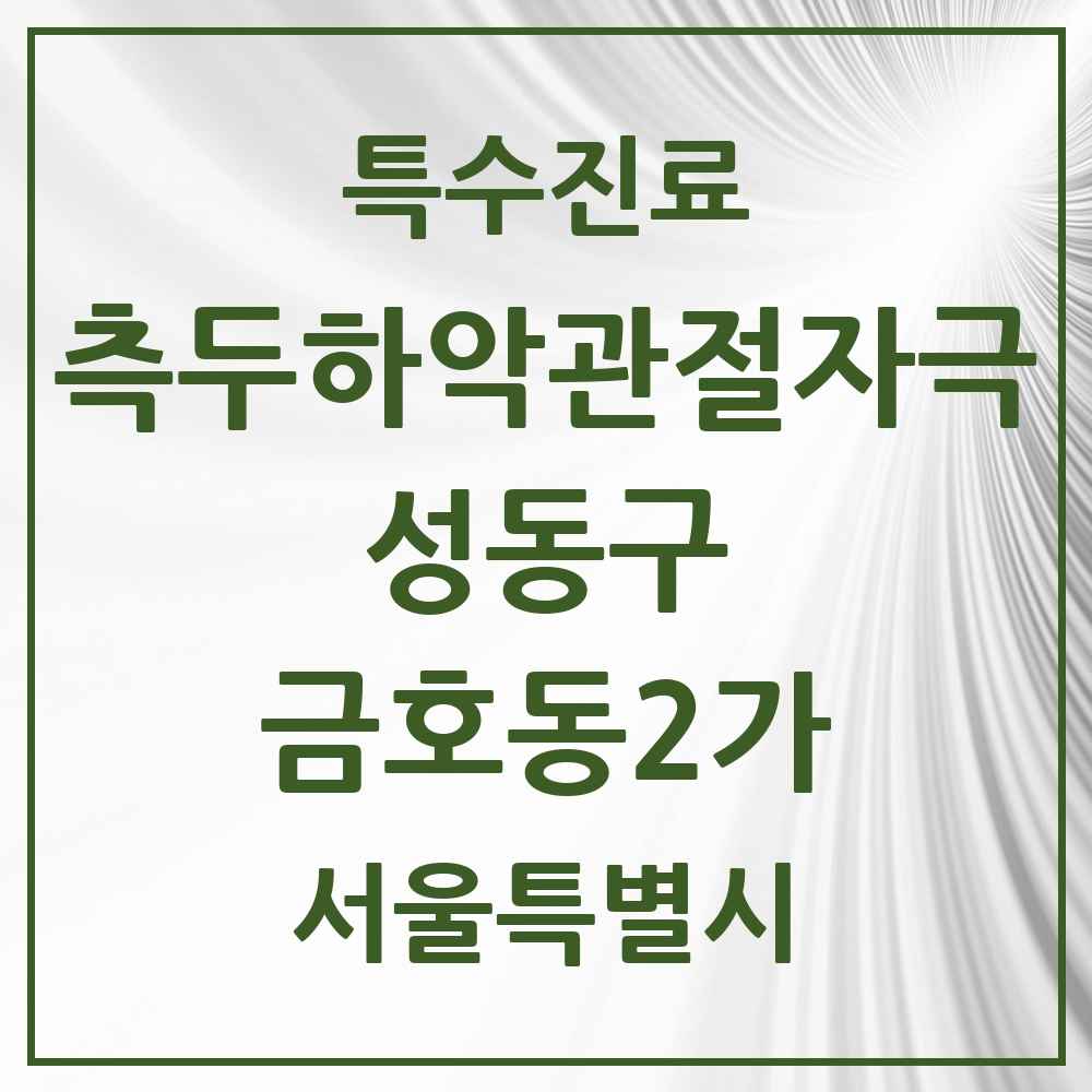 2025 서울특별시 성동구 금호동2가 측두하악 관절자극요법 실시기관 의원·병원 목록 2곳