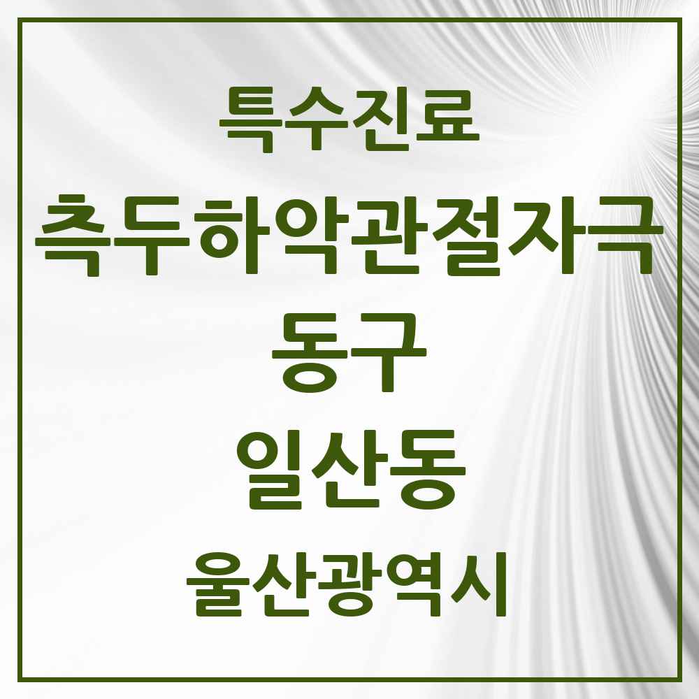 2025 울산광역시 동구 일산동 측두하악 관절자극요법 실시기관 의원·병원 목록 2곳