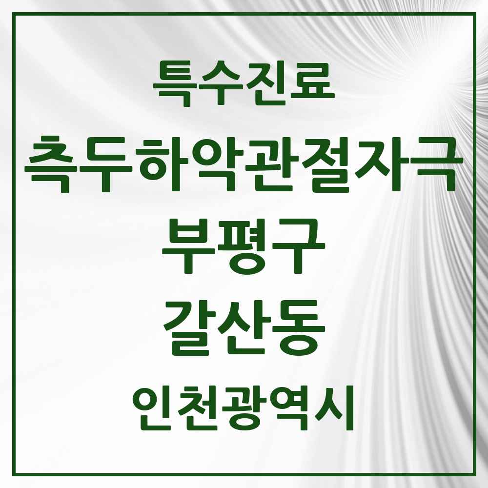 2025 인천광역시 부평구 갈산동 측두하악 관절자극요법 실시기관 의원·병원 목록 1곳