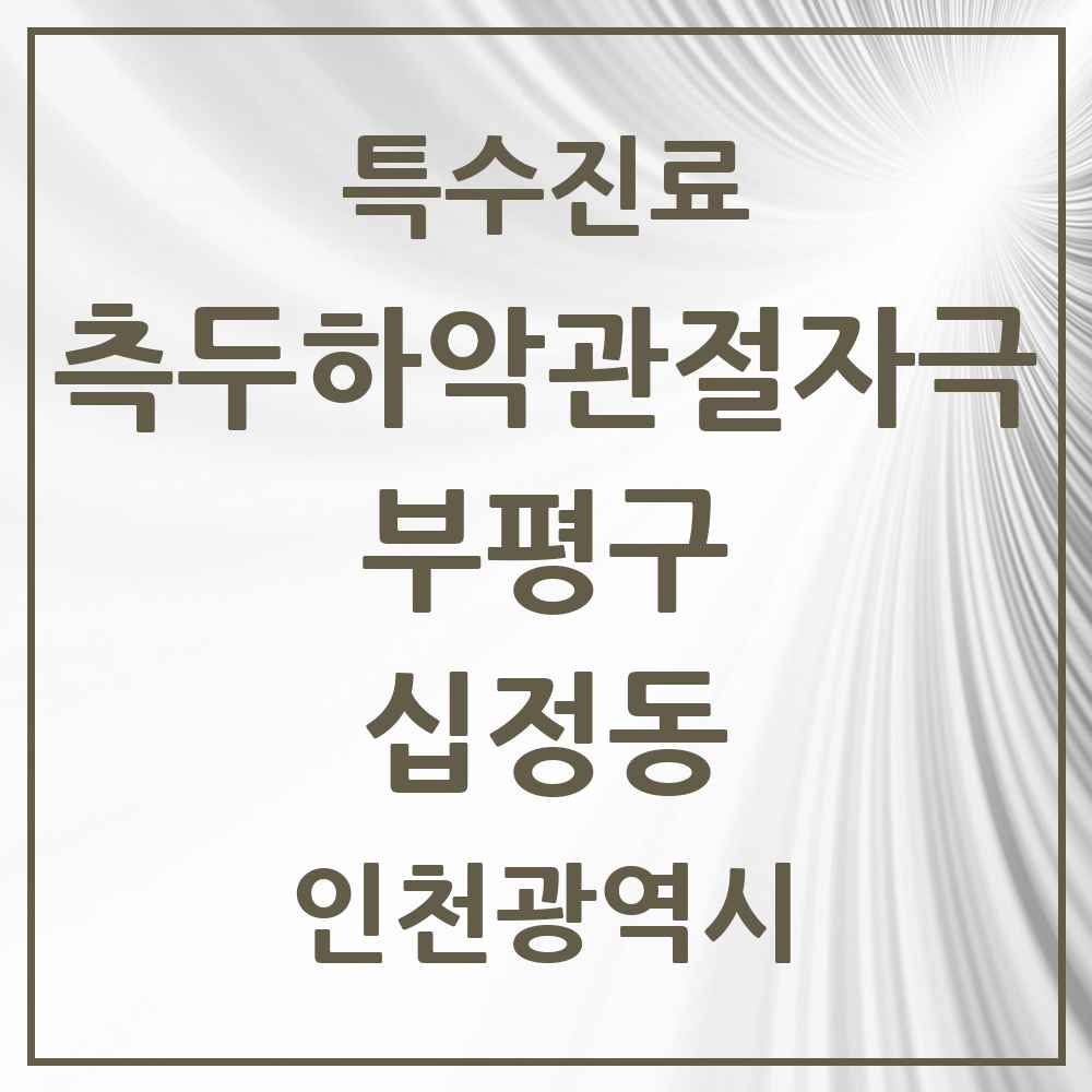 2025 인천광역시 부평구 십정동 측두하악 관절자극요법 실시기관 의원·병원 목록 13곳