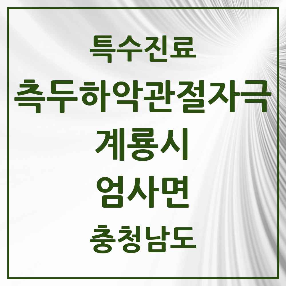 2025 충청남도 계룡시 엄사면 측두하악 관절자극요법 실시기관 의원·병원 목록 1곳