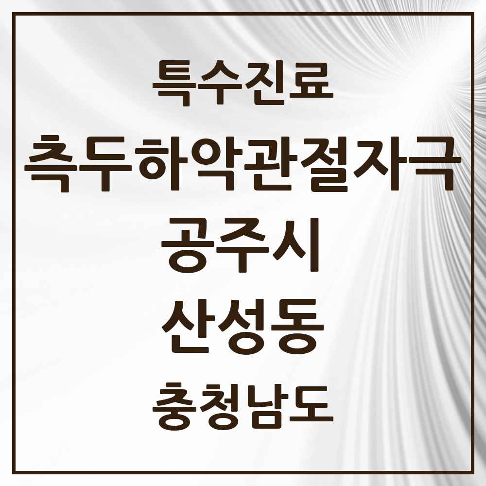 2025 충청남도 공주시 산성동 측두하악 관절자극요법 실시기관 의원·병원 목록 2곳