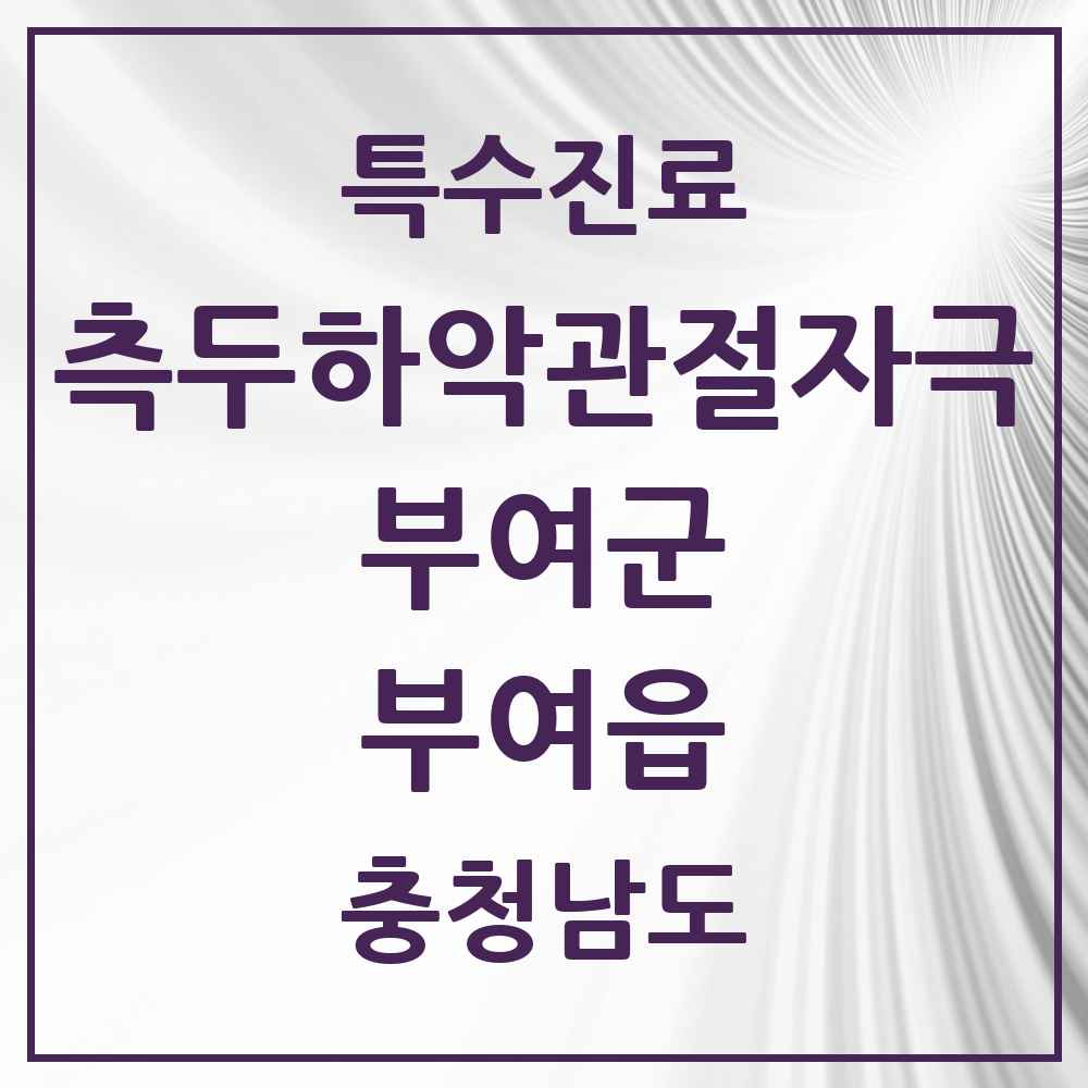 2025 충청남도 부여군 부여읍 측두하악 관절자극요법 실시기관 의원·병원 목록 5곳