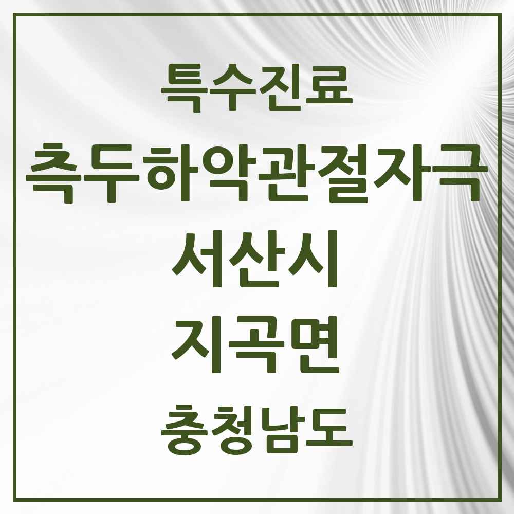 2025 충청남도 서산시 지곡면 측두하악 관절자극요법 실시기관 의원·병원 목록 1곳