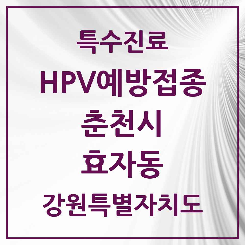 2025 강원특별자치도 춘천시 효자동 HPV 예방접종사업 참여기관 의원·병원 목록 3곳