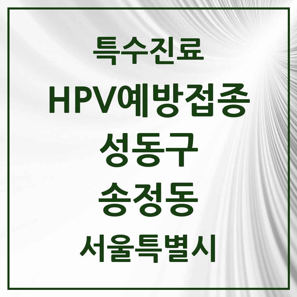 2025 서울특별시 성동구 송정동 HPV 예방접종사업 참여기관 의원·병원 목록 1곳