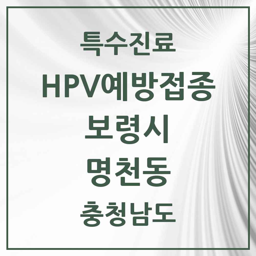 2025 충청남도 보령시 명천동 HPV 예방접종사업 참여기관 의원·병원 목록 2곳