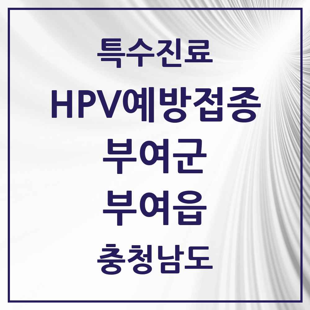 2025 충청남도 부여군 부여읍 HPV 예방접종사업 참여기관 의원·병원 목록 3곳