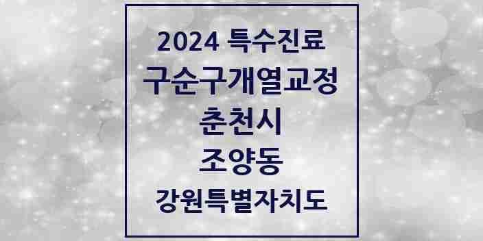 2024 조양동 구순구개열 등 치과교정 및 악정형 치료 실시기관 의원·병원 모음 1곳 | 강원특별자치도 춘천시 추천 리스트 | 특수진료