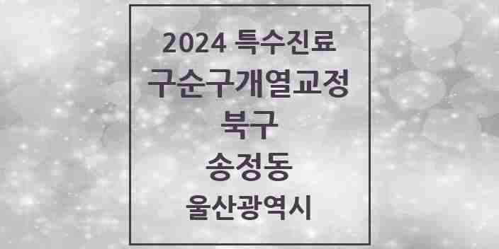 2024 송정동 구순구개열 등 치과교정 및 악정형 치료 실시기관 의원·병원 모음 1곳 | 울산광역시 북구 추천 리스트 | 특수진료