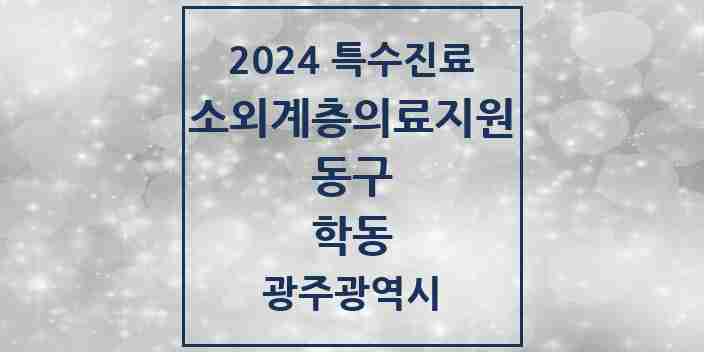 2024 학동 소외계층 의료서비스지원 사업기관 의원·병원 모음 2곳 | 광주광역시 동구 추천 리스트 | 특수진료