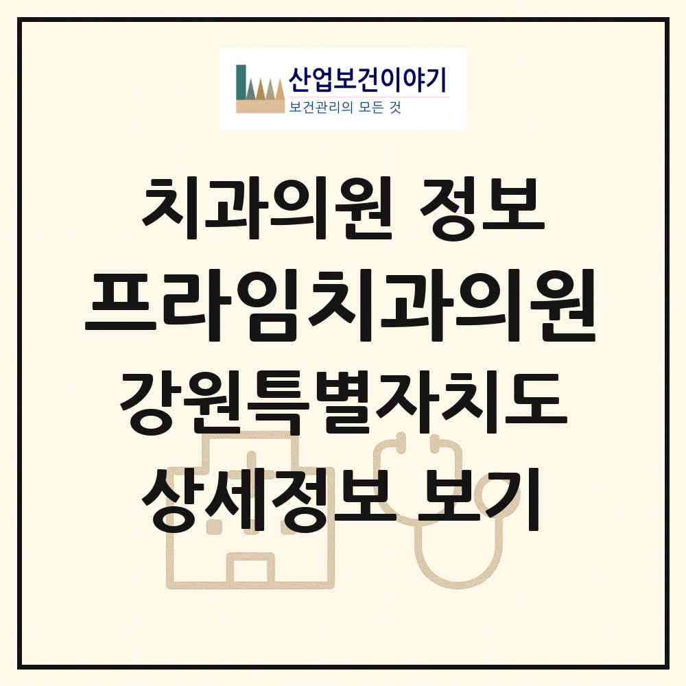 2026 프라임치과의원 (속초시 교동)|치과의원|요양기관 정보