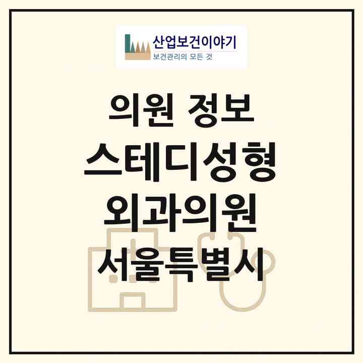 2026 스테디성형외과의원 (서울 강남구 논현1동)|의원|요양기관 정보