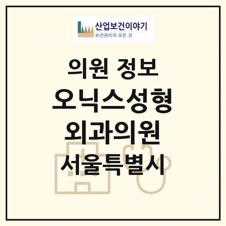 2026 오닉스성형외과의원 (서울 강남구 역삼1동)|의원|요양기관 정보